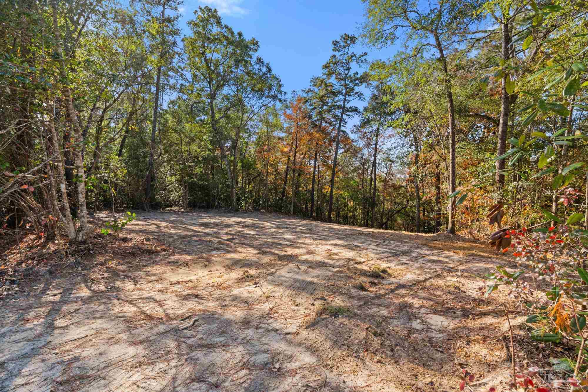 Genevieve Way Crestview, FL 32536 - Photo 2 of 19 a view of a yard with trees in the background