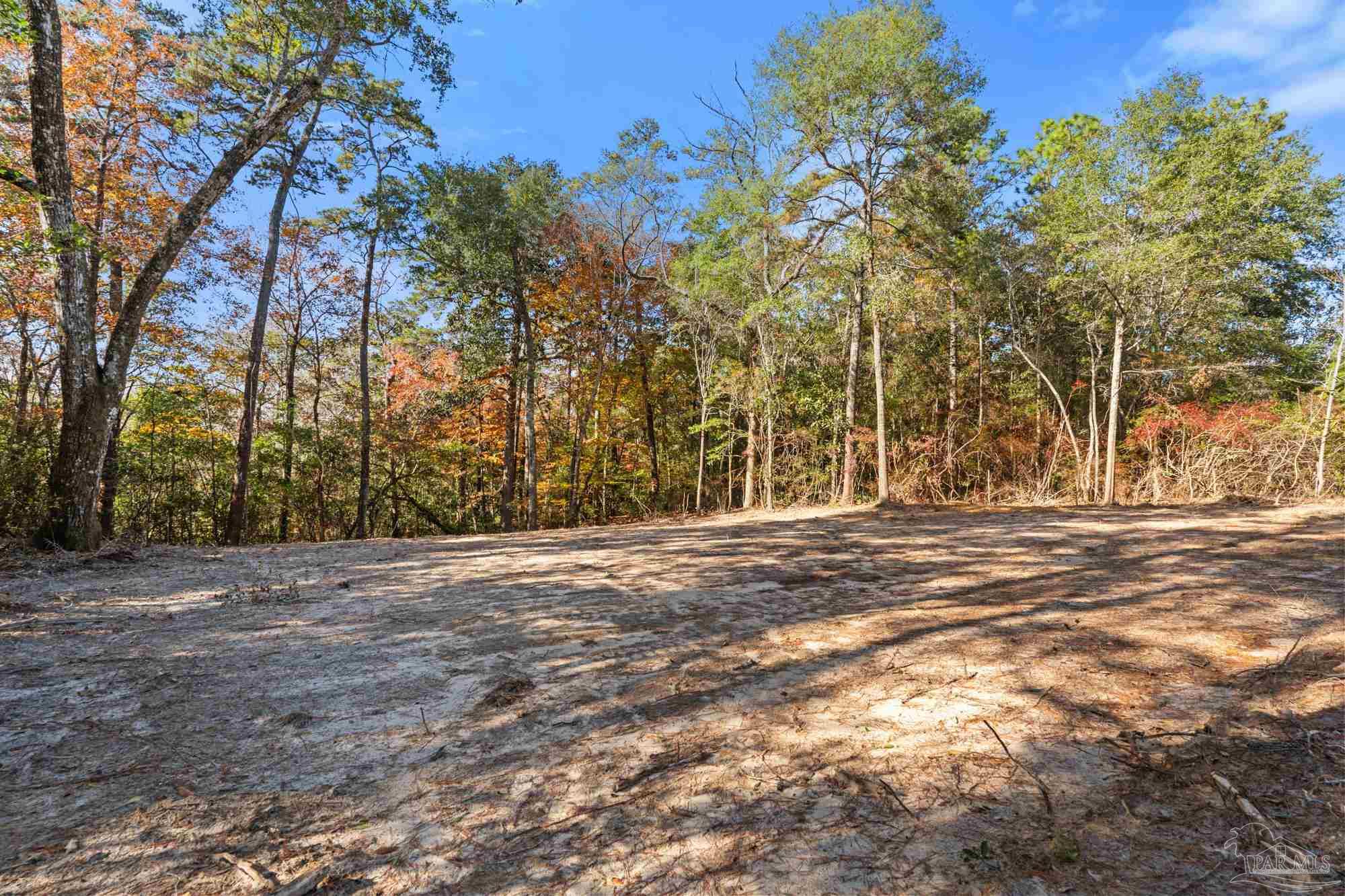 Genevieve Way Crestview, FL 32536 - Photo 5 of 19 a view of a yard with large trees