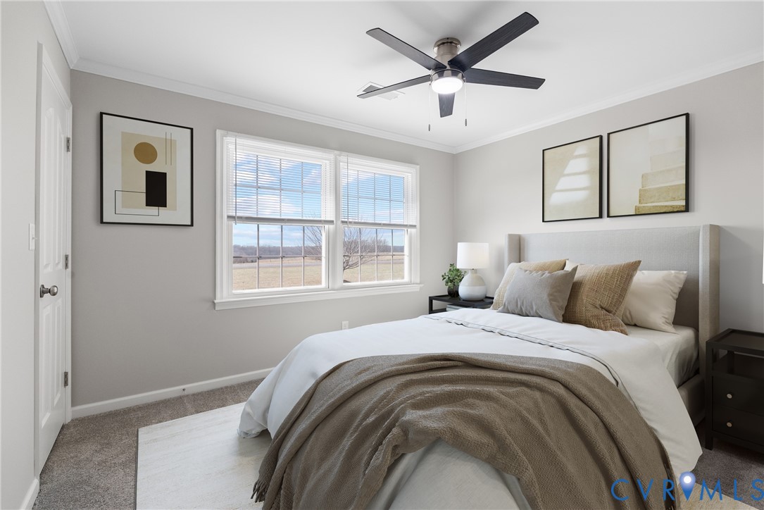 842 Hardtimes Road Farmville, VA 23901 - Photo 21 of 50 Bedroom with carpet, crown molding, and a ceiling