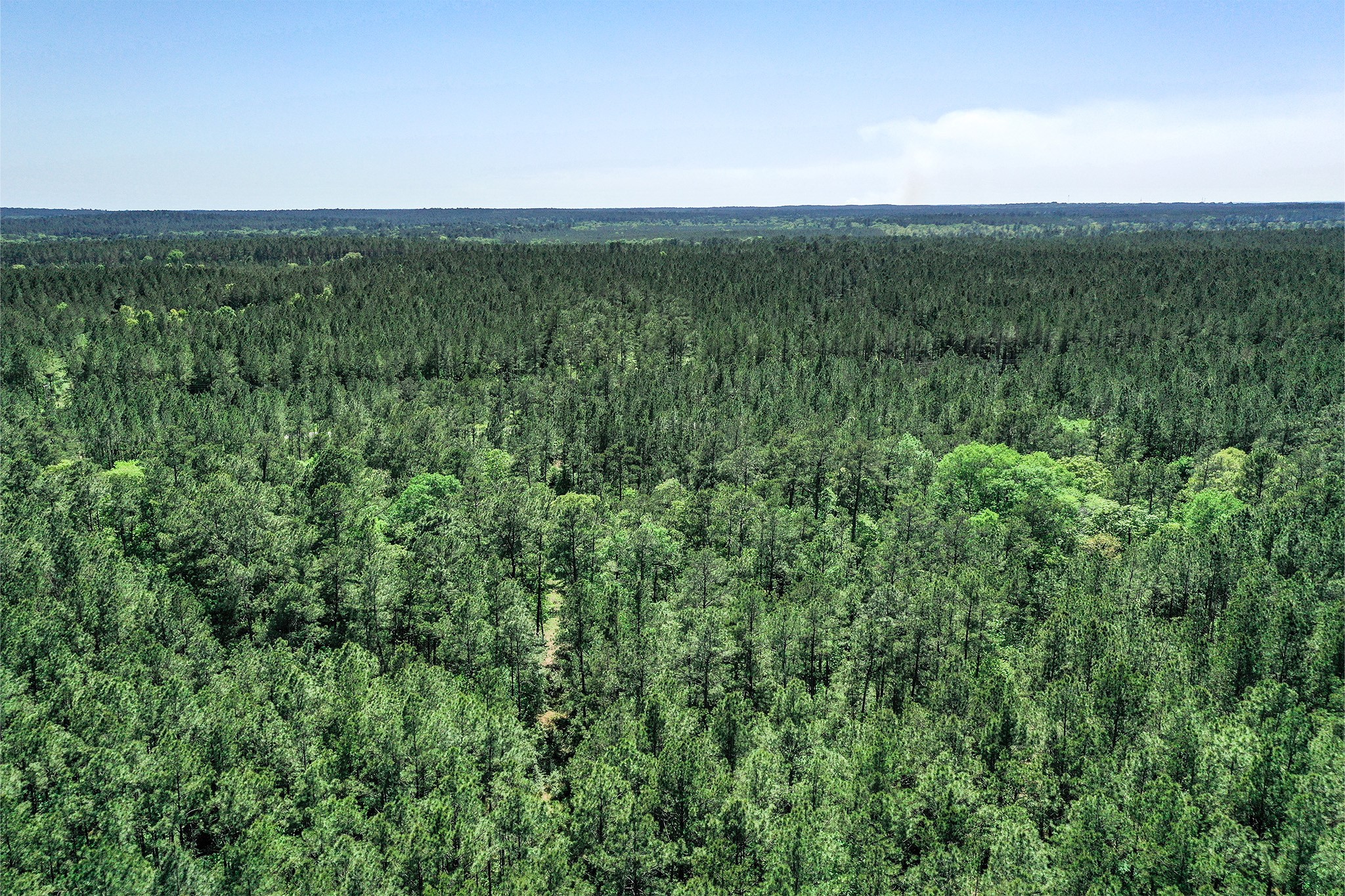 Tbd Queen Anne Way Huntsville, TX 77340 - Photo 11 of 19 a view of a city