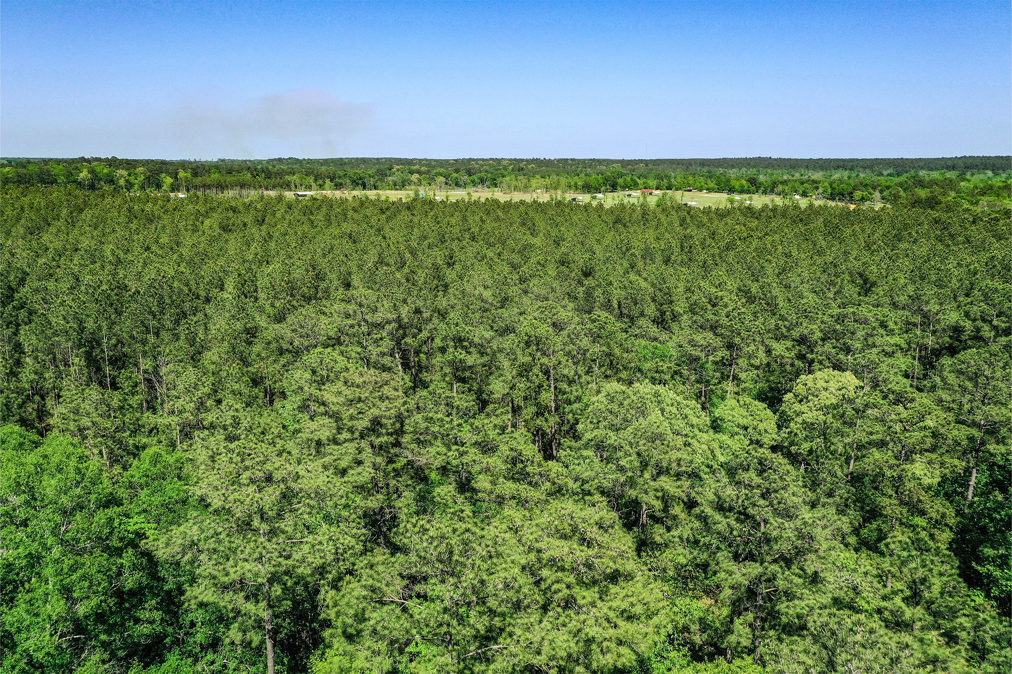 Tbd Queen Anne Way Huntsville, TX 77340 - Photo 12 of 19 a view of a field