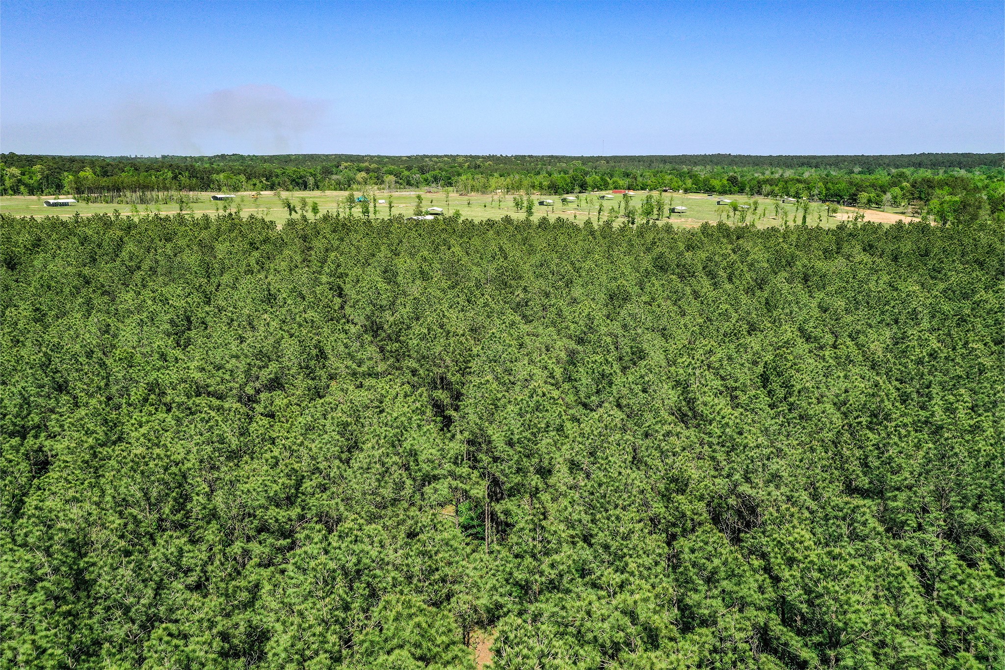 Tbd Queen Anne Way Huntsville, TX 77340 - Photo 13 of 19 a view of a field with an ocean