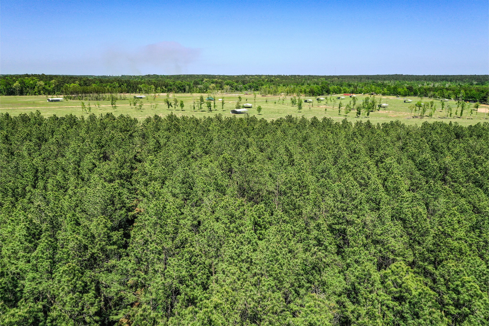 Tbd Queen Anne Way Huntsville, TX 77340 - Photo 14 of 19 a view of a green field with lots of plants in it