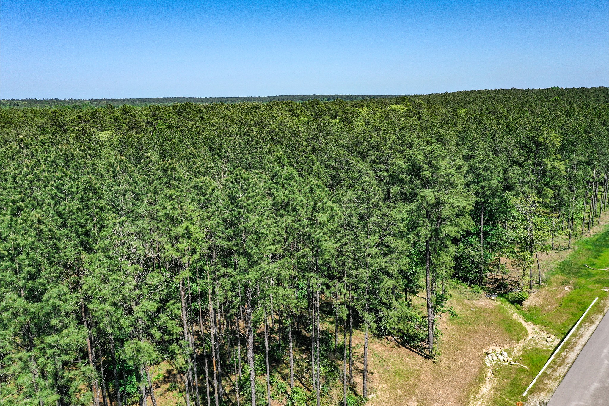 Tbd Queen Anne Way Huntsville, TX 77340 - Photo 15 of 19 a view of a field