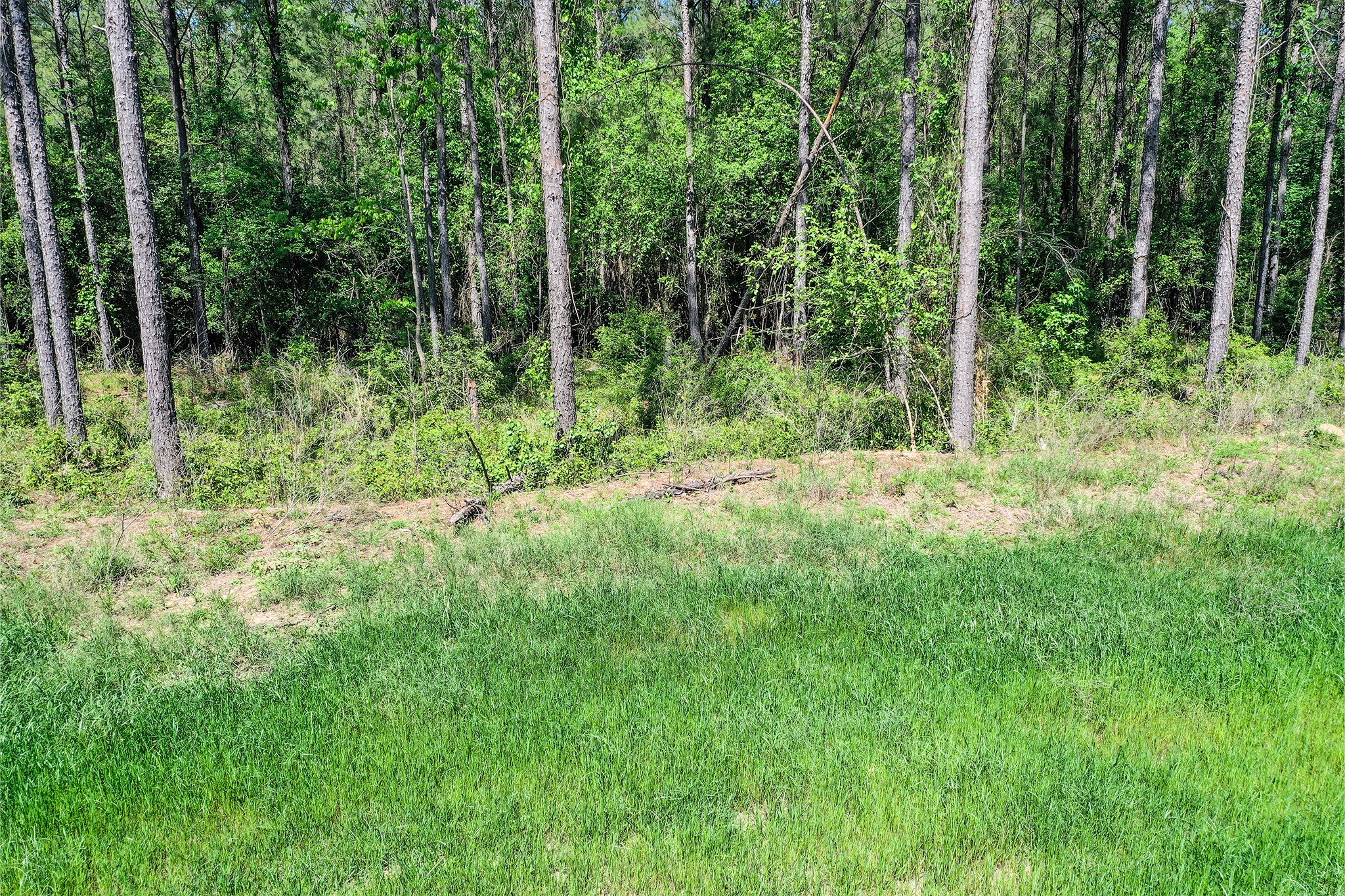 Tbd Queen Anne Way Huntsville, TX 77340 - Photo 17 of 19 a view of outdoor space and yard