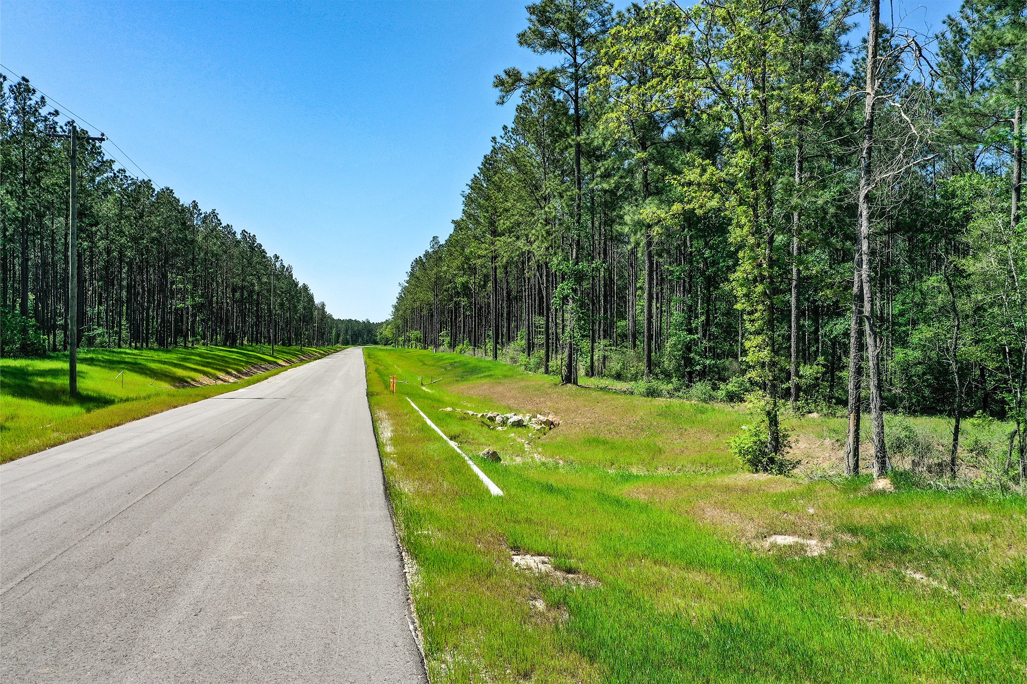 Tbd Queen Anne Way Huntsville, TX 77340 - Photo 18 of 19 a view of a park with large trees