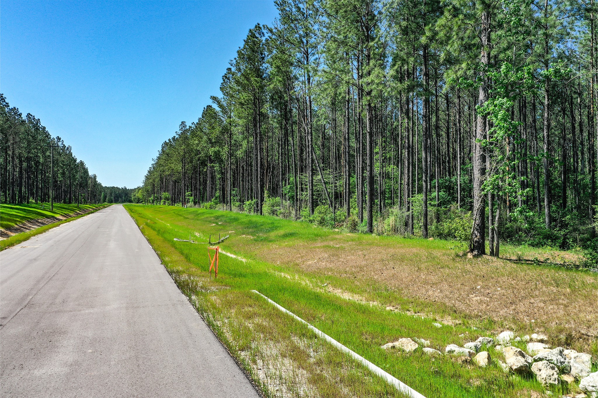 Tbd Queen Anne Way Huntsville, TX 77340 - Photo 19 of 19 a view of a park with trees in the background