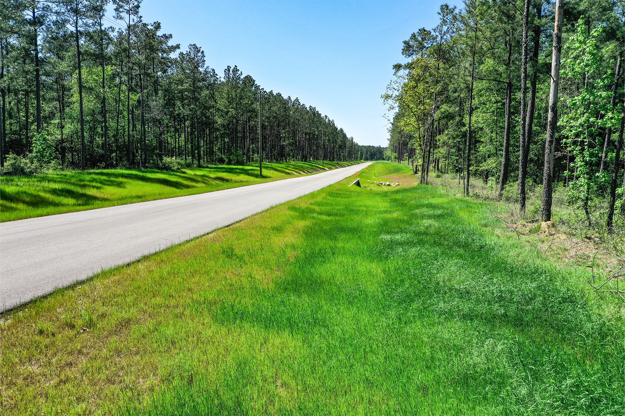 Tbd Queen Anne Way Huntsville, TX 77340 - Photo 5 of 19 a view of a park with large trees