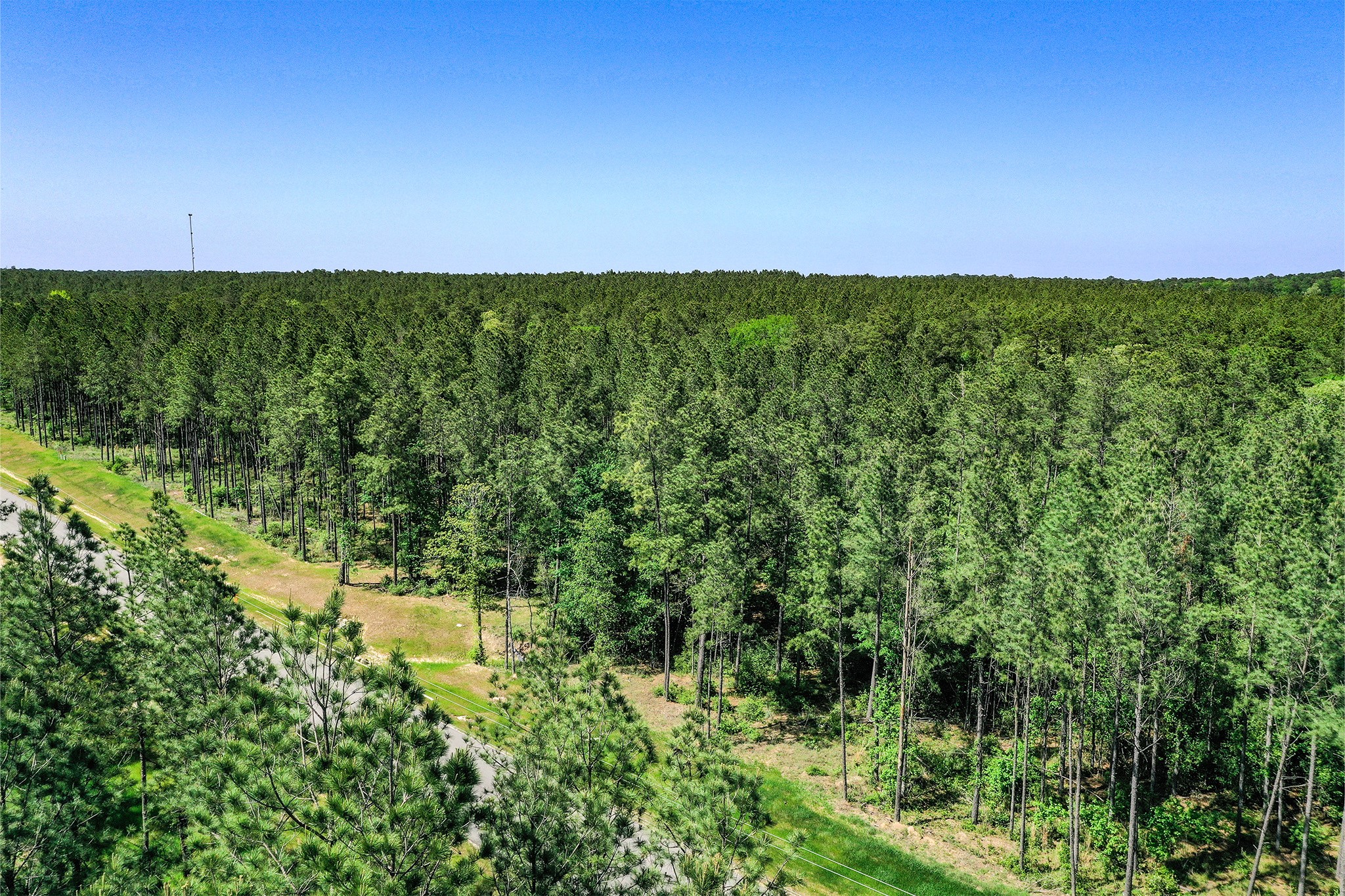 Tbd Queen Anne Way Huntsville, TX 77340 - Photo 6 of 19 a view of a green field with lots of bushes