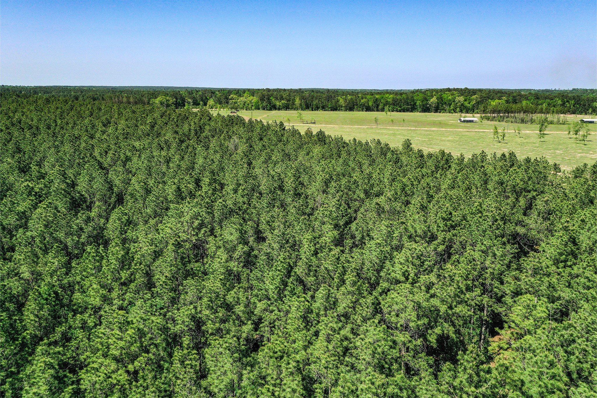 Tbd Queen Anne Way Huntsville, TX 77340 - Photo 8 of 19 a view of a green field with lots of bushes
