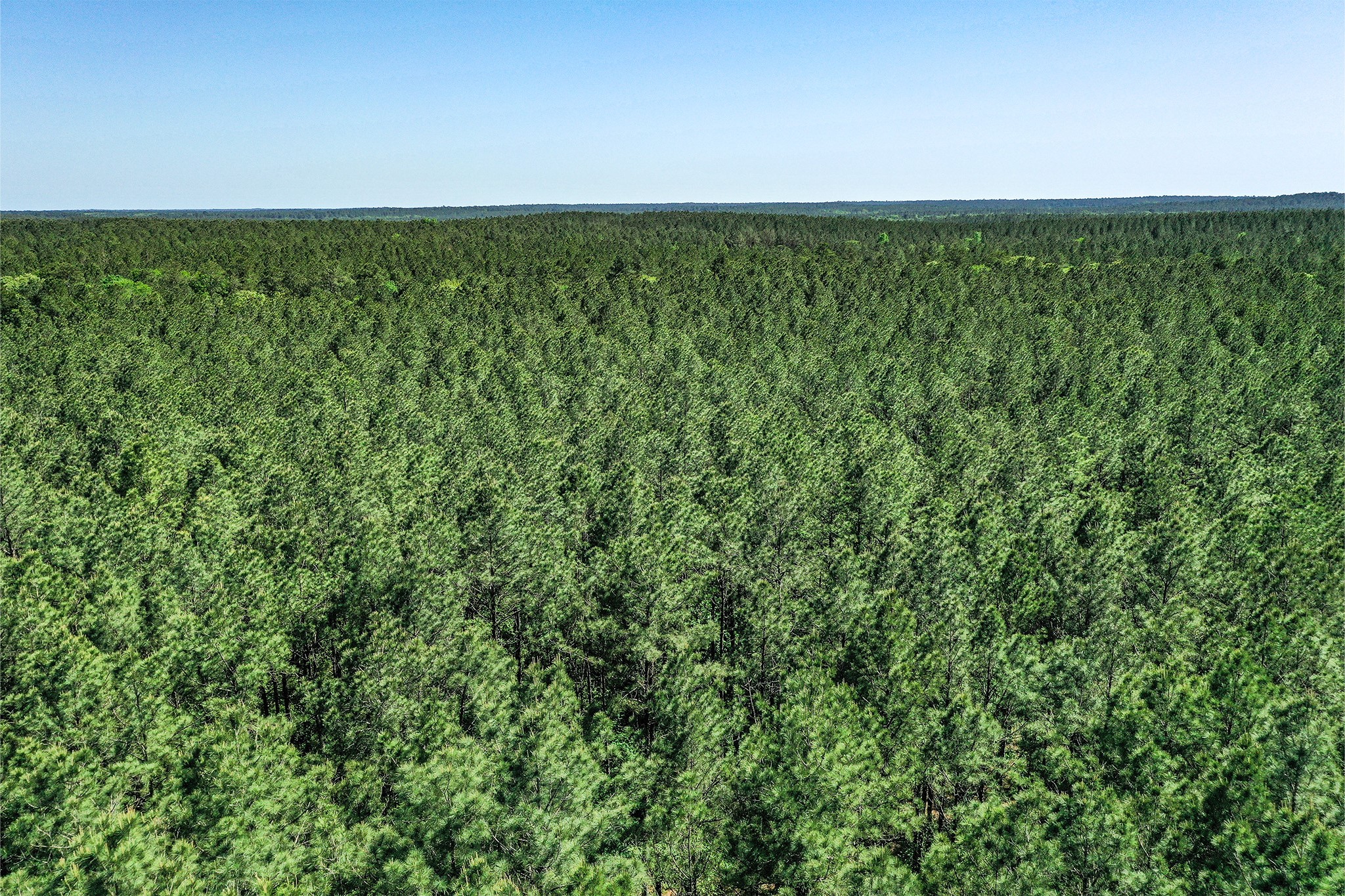 Tbd Queen Anne Way Huntsville, TX 77340 - Photo 10 of 19 a view of a yard with an outdoor seating