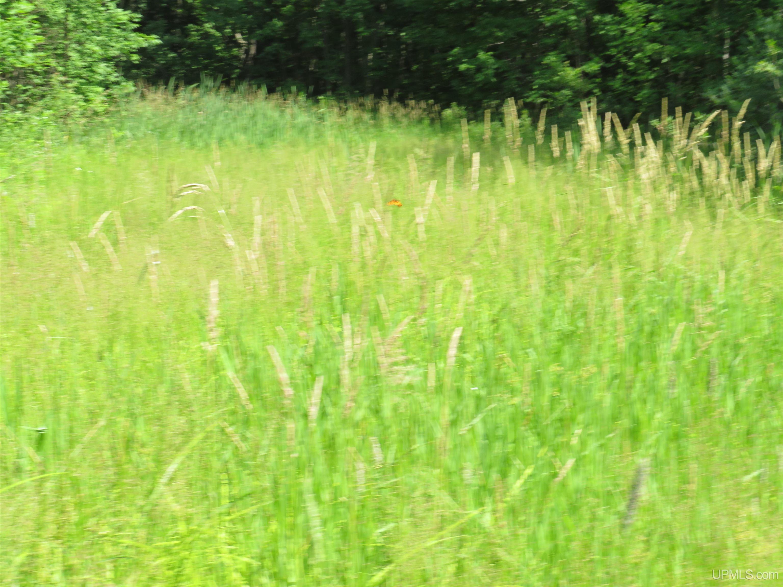 Tbd Curlew Road Ontonagon, MI 49953 - Photo 36 of 36