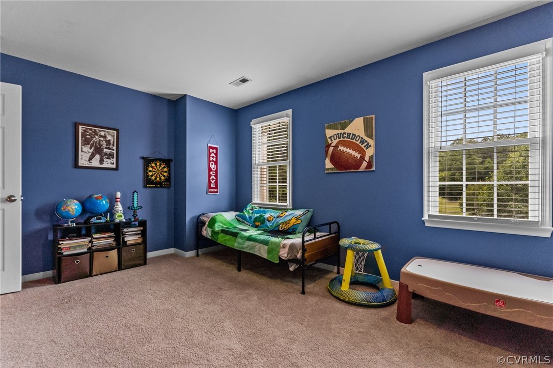 14419 Gatewood Road Dewitt, VA 23840 - Photo 27 of 36 a bedroom with furniture and a window
