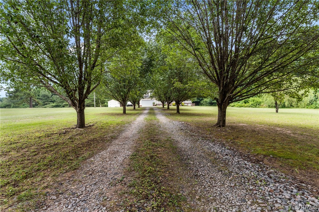 14419 Gatewood Road Dewitt, VA 23840 - Photo 3 of 36 a view of yard with trees in the background