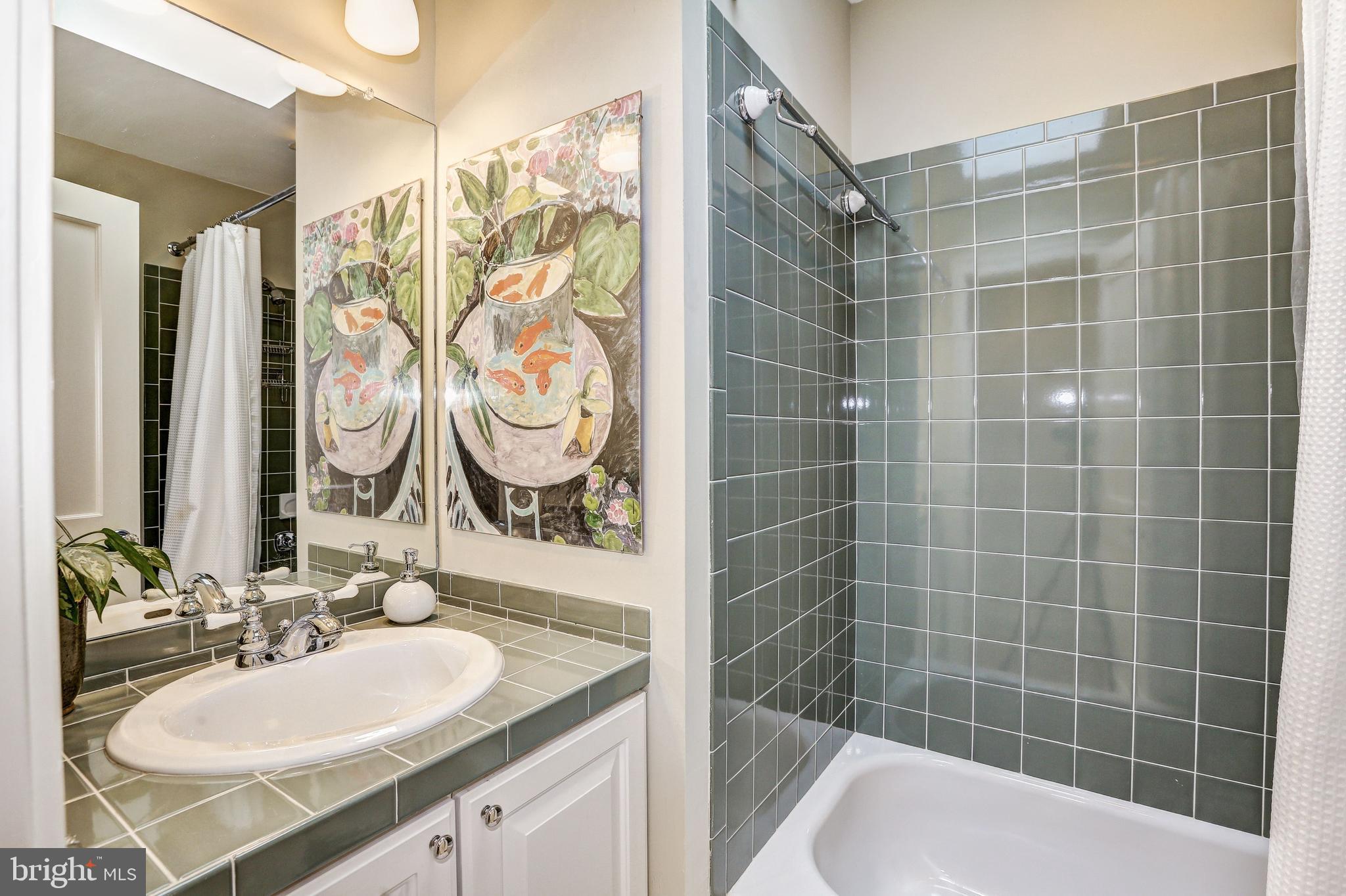 4404 Ridge Street Chevy Chase, MD 20815 - Photo 20 of 35 Hall Bath