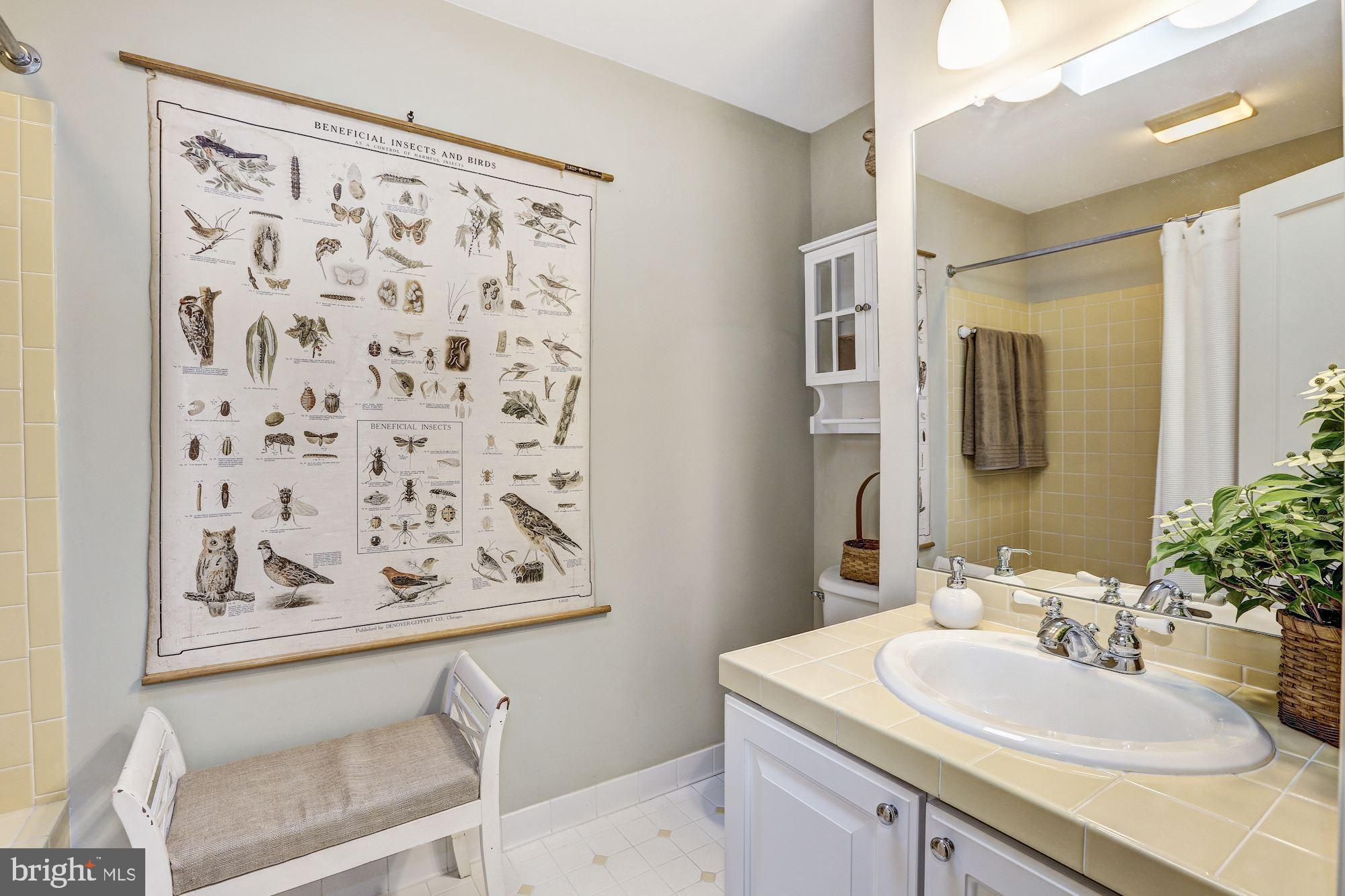 4404 Ridge Street Chevy Chase, MD 20815 - Photo 24 of 35 Hall Bath
