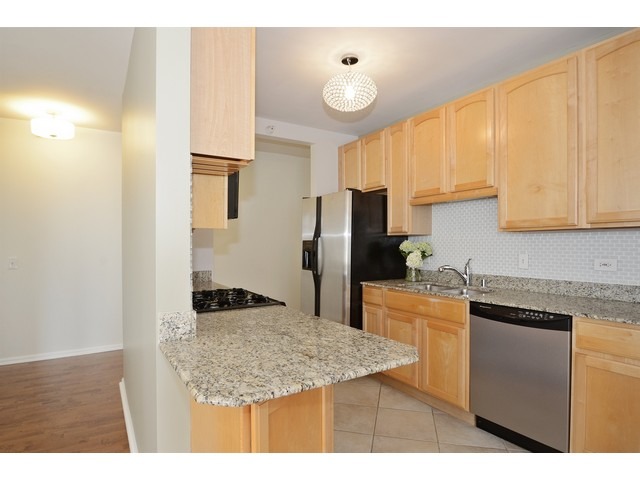 630 North State Street, Unit 2508 Chicago, IL 60654 - Photo 7 of 17
