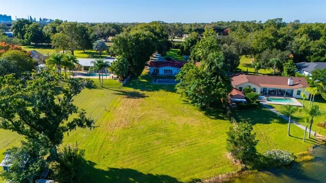 a view of a bunch of flowers in a garden
