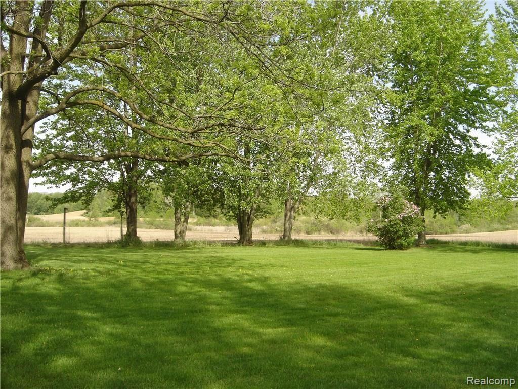 4378 Chase Lake Road Howell, MI 48855 - Photo 7 of 19 Backyard