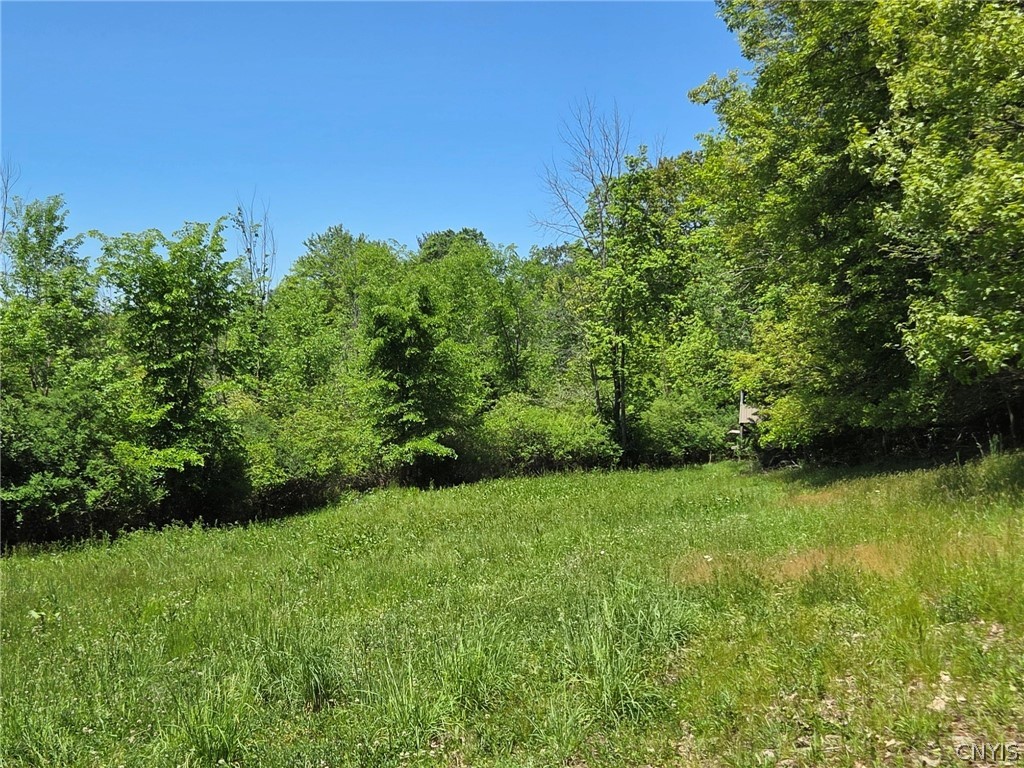 Lillibridge Road Olean, NY 14760 - Photo 16 of 48