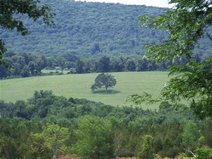 406-396 Sharon Road Salisbury, CT 06039 - Photo 18 of 20 a view of a field of grass and trees