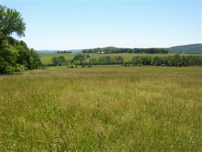 406-396 Sharon Road Salisbury, CT 06039 - Photo 5 of 20 a view of a field with an ocean