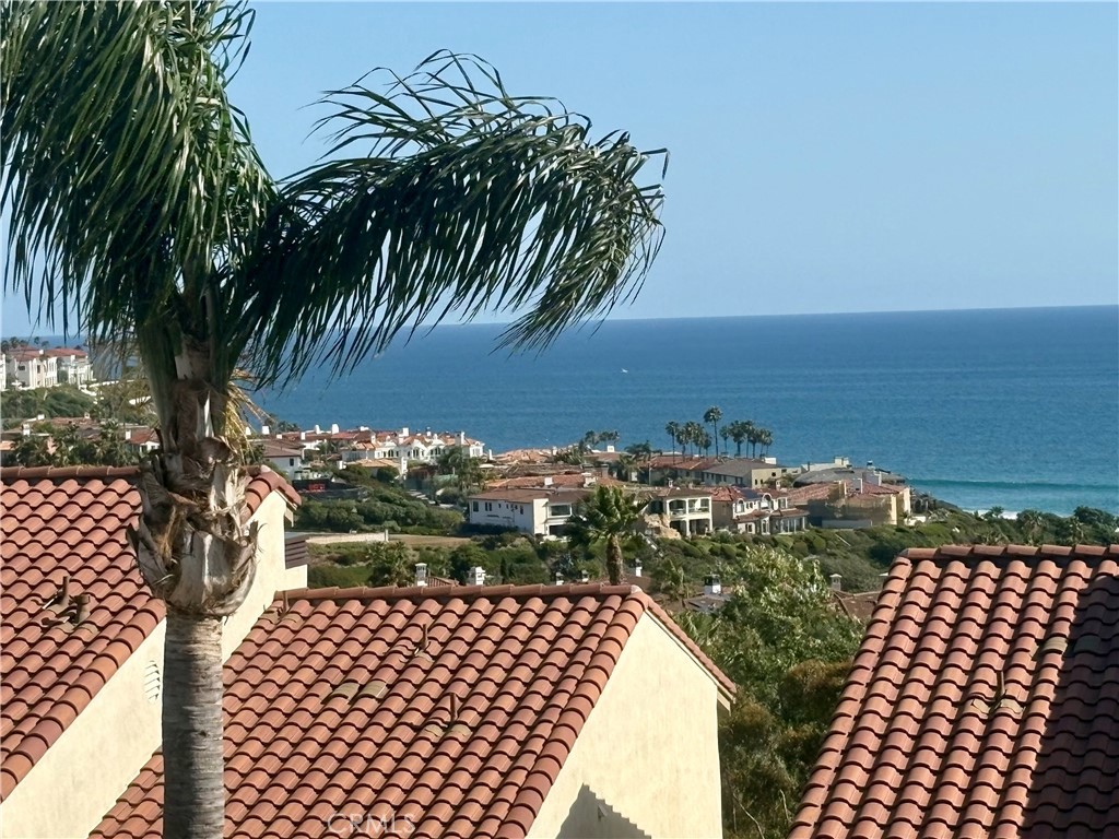 23281 Atlantis Way Dana Point, CA 92629 - Photo 2 of 81 a view of outdoor space and yard