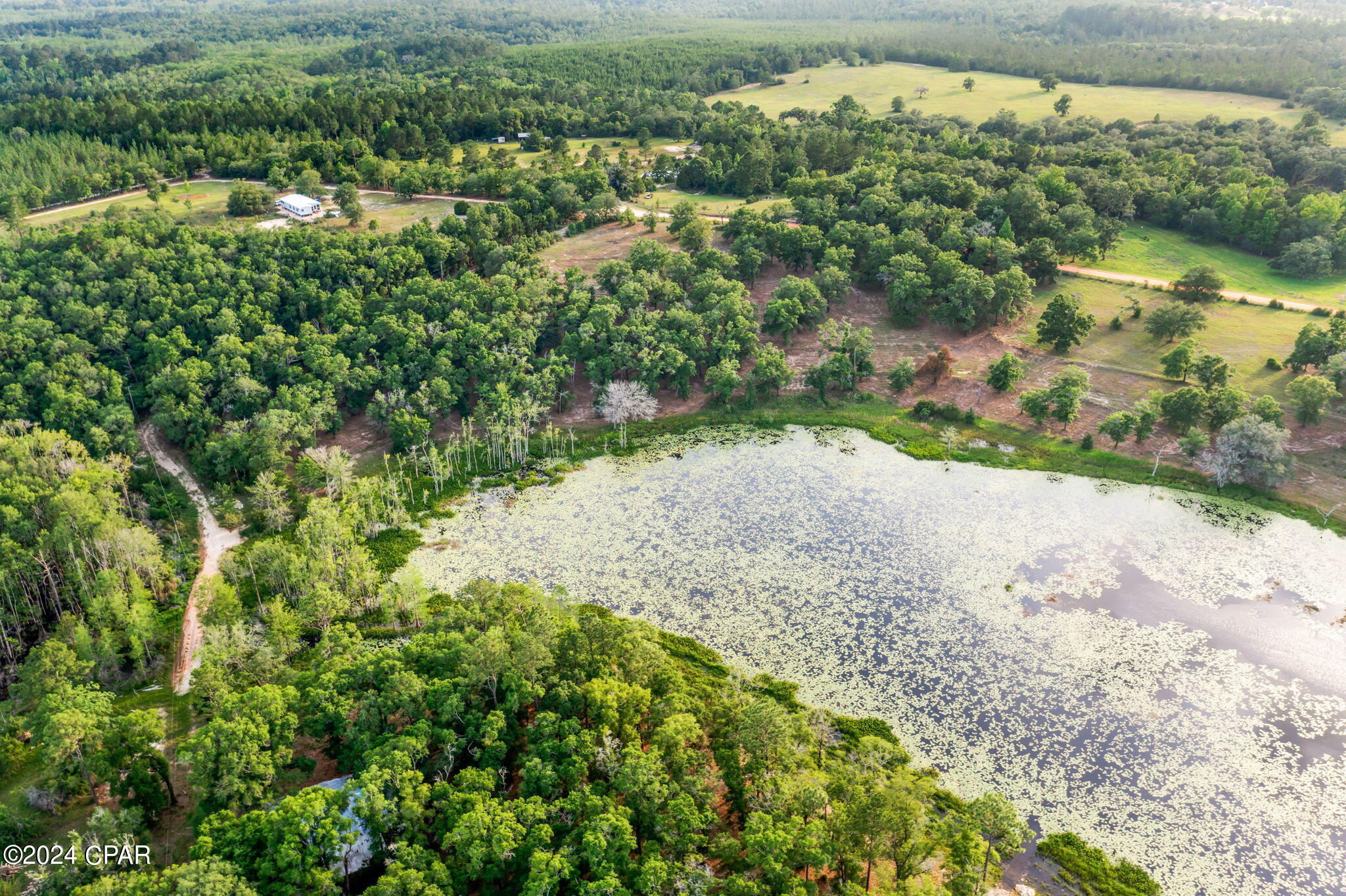 Tbd Twin Pond Road Vernon, FL 32462 - Photo 20 of 42 Gallery Image 20