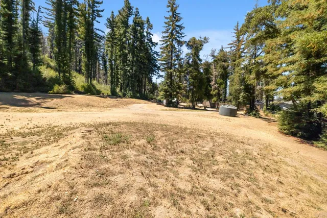 a view of empty space with trees