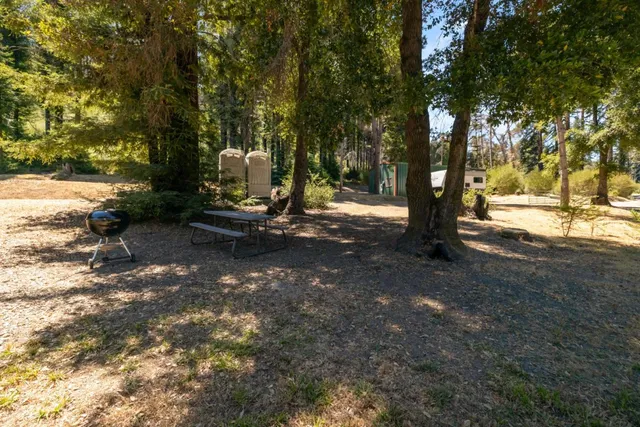 a view of a park with large trees