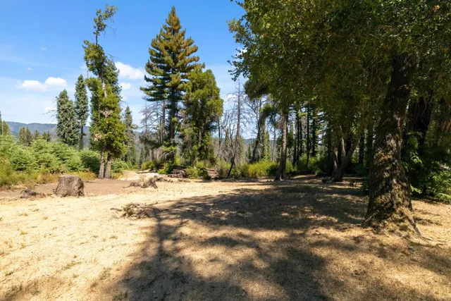 a view of a yard with trees