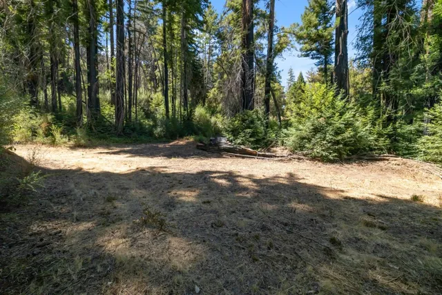 a view of outdoor space and yard