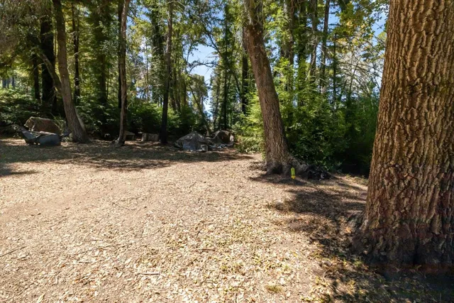 a view of backyard with green space