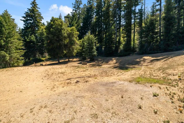 a view of a yard covered in snow
