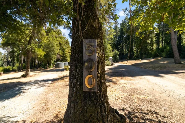 a backyard of a house with lots of trees