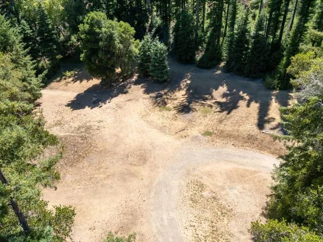 a view of a tree with yard