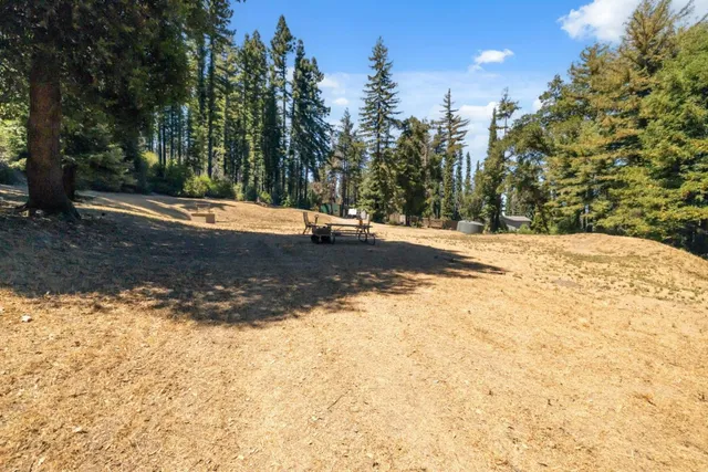 a view of a yard with trees