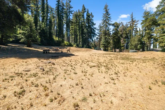 a view of a yard with a tree