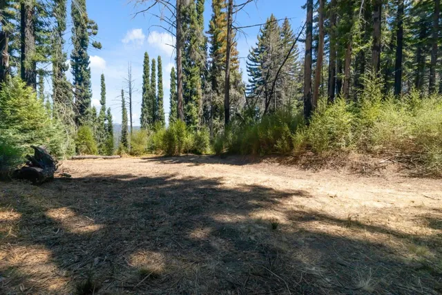 a view of outdoor space with trees