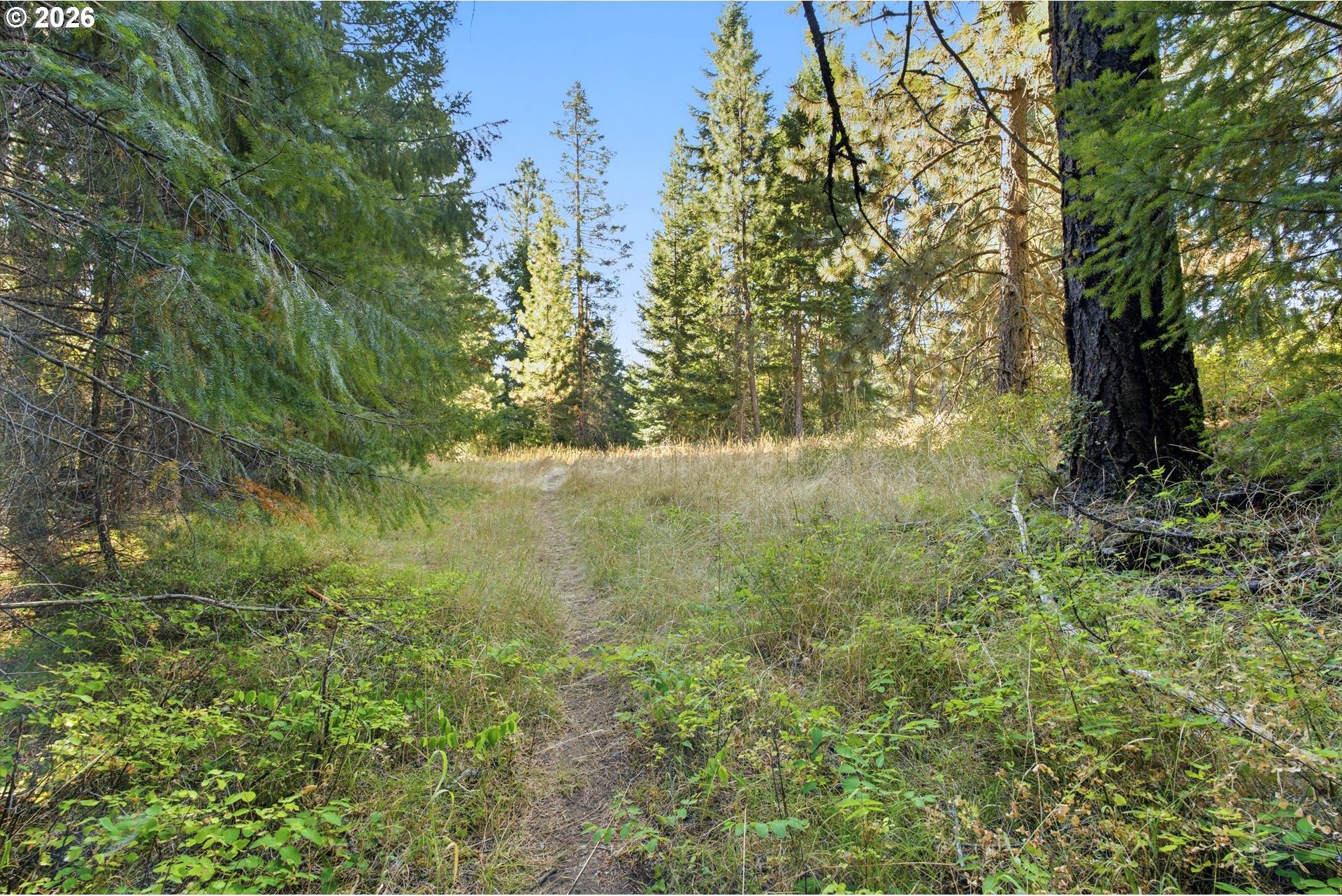 2 Westside Road Trout Lake, WA 98650 - Photo 38 of 46 Gallery Image 38