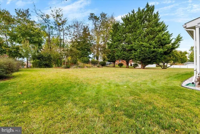 a plant that is in front of flowers