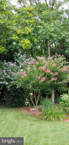 a backyard of a house with lots of green space