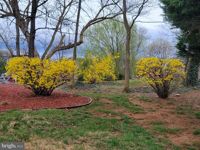 a view of a flower flowers in a lot of flower in a yard