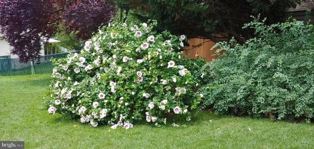 a picture of a bench