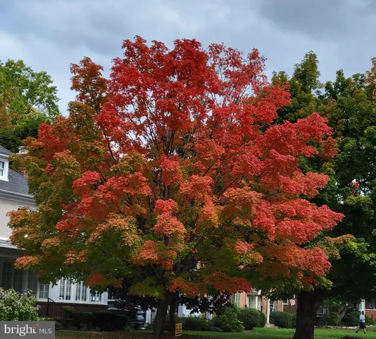 $419,900 | 10730 Hershey Drive, Williamsport, MD 21795