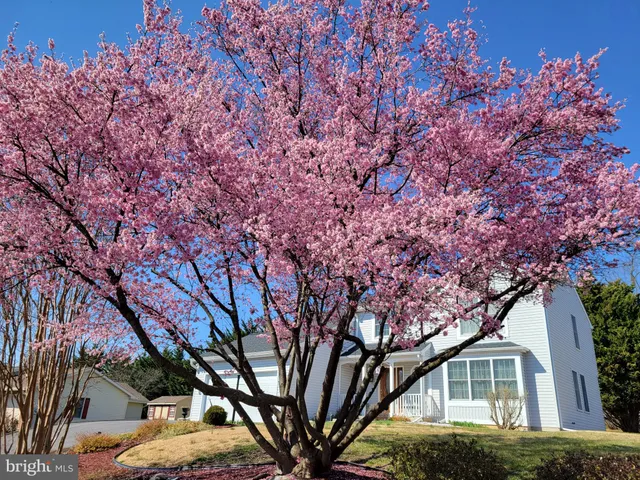 $419,900 | 10730 Hershey Drive, Williamsport, MD 21795