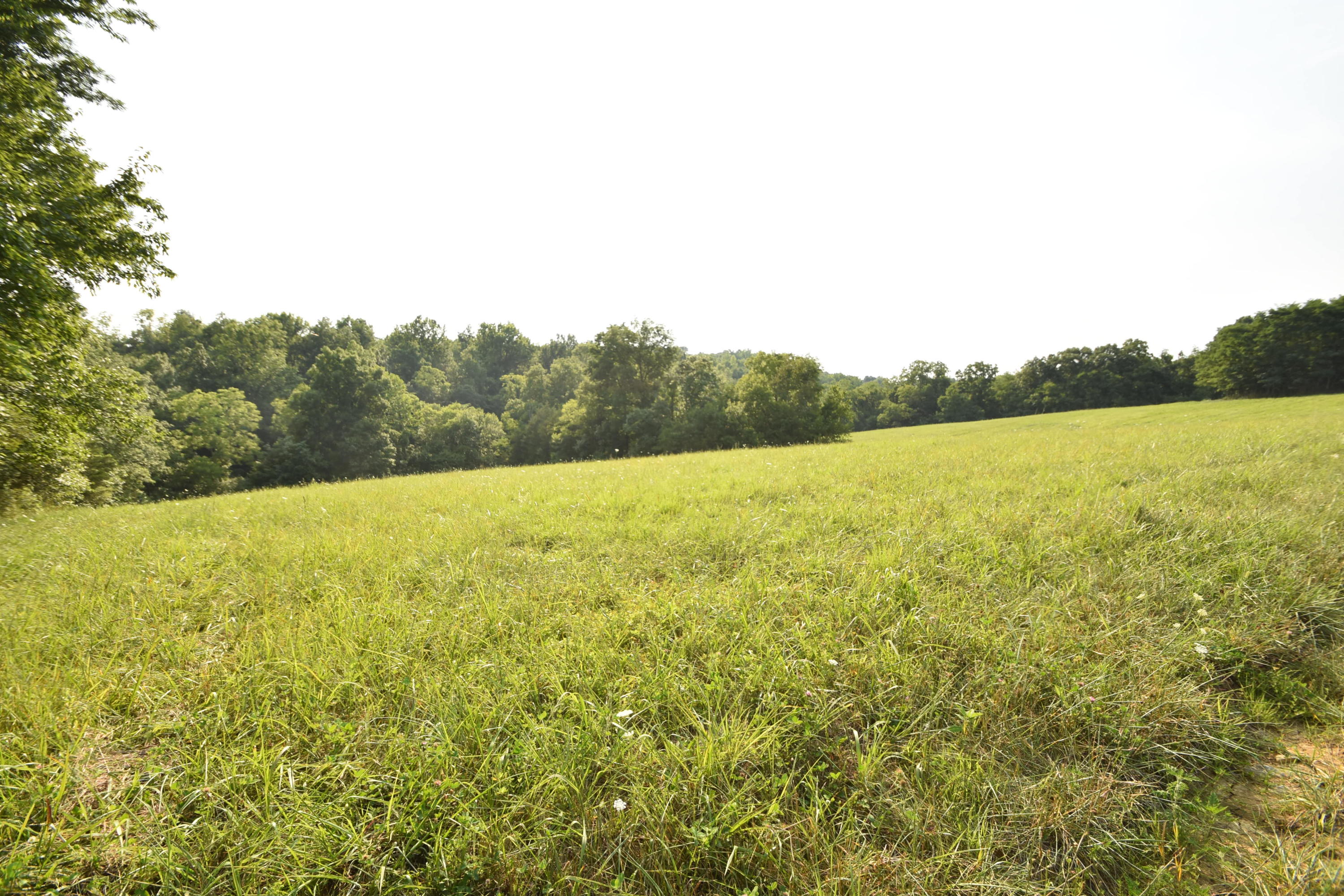 580 Fallis Run Road Harrodsburg, KY 40330 - Photo 19 of 43 DSC_0341