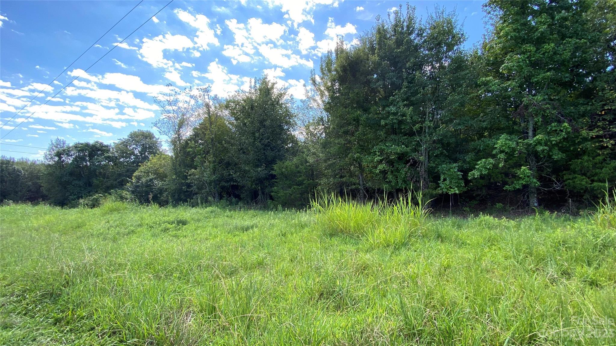 0 Fish Pond Road, Unit 4 Cherryville, NC 28021 - Photo 1 of 11 a view of a lush green space