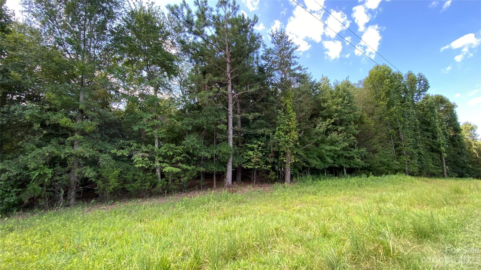 0 Fish Pond Road, Unit 4 Cherryville, NC 28021 - Photo 4 of 11 a view of outdoor space and yard