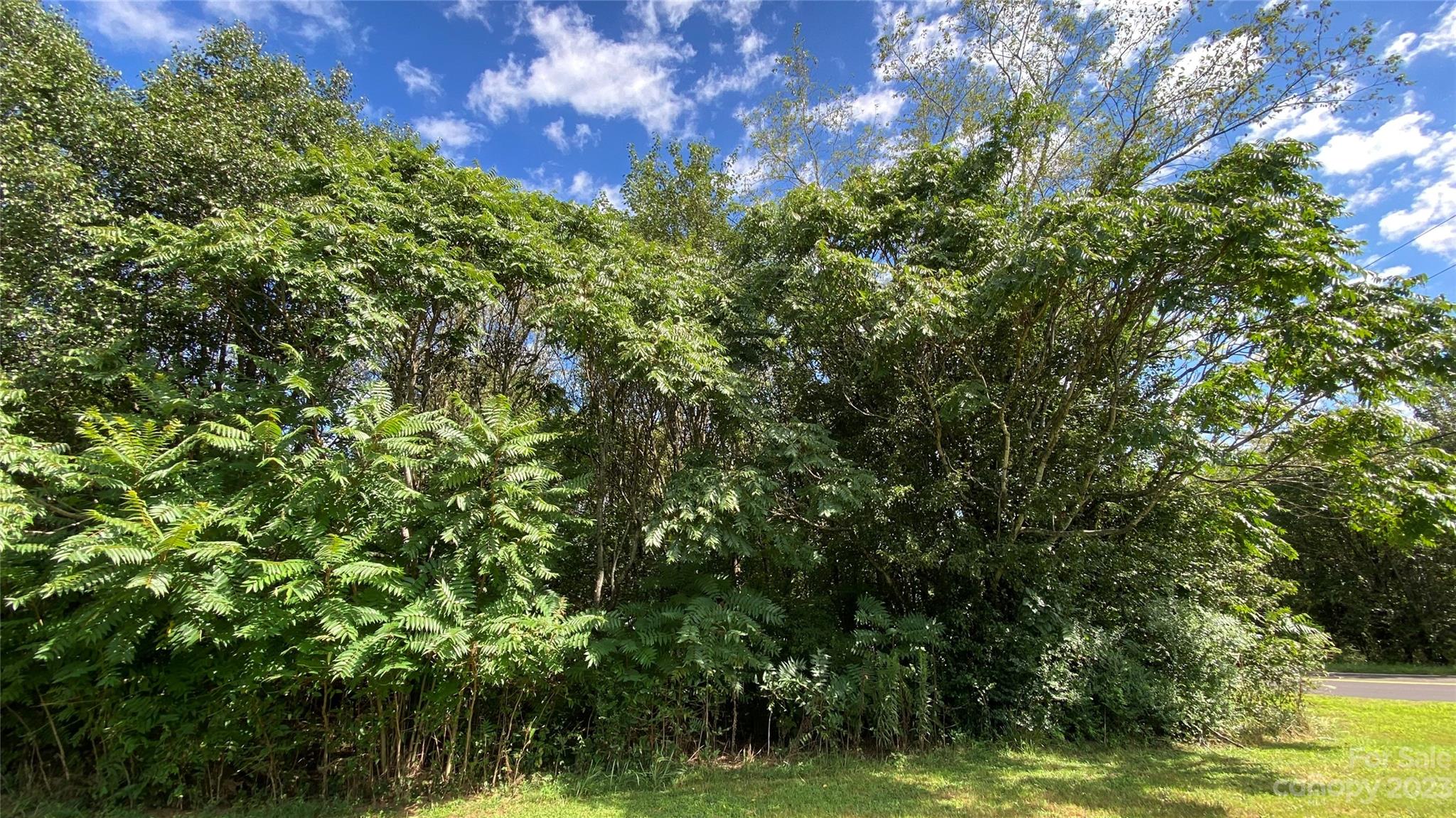 0 Fish Pond Road, Unit 4 Cherryville, NC 28021 - Photo 5 of 11 a view of a garden